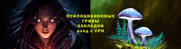 твердый Абаза