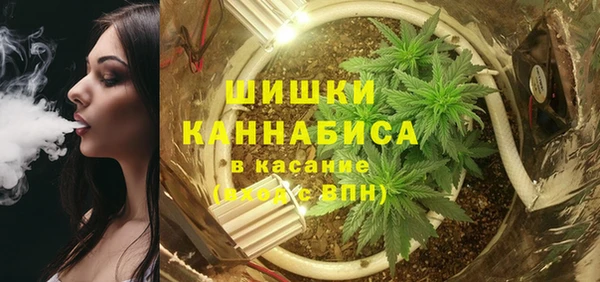 твердый Абаза