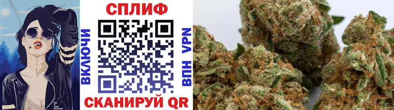 где купить наркотик  Сафоново  OMG зеркало  Бошки марихуана сатива 